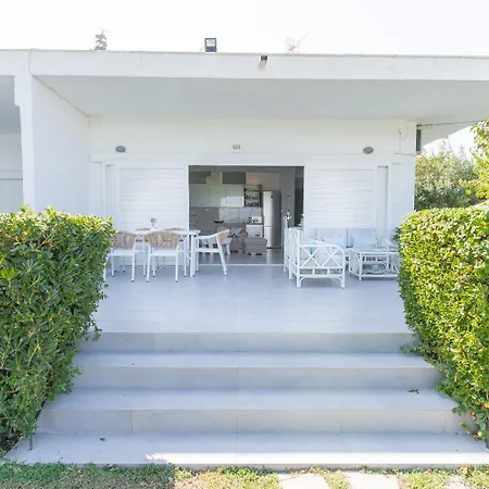 Seashell By Halu! * Néa Fókaia