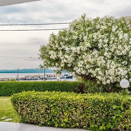 Seashell By Halu! Holiday home