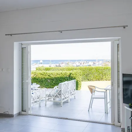 Seashell By Halu! Nea Fokea